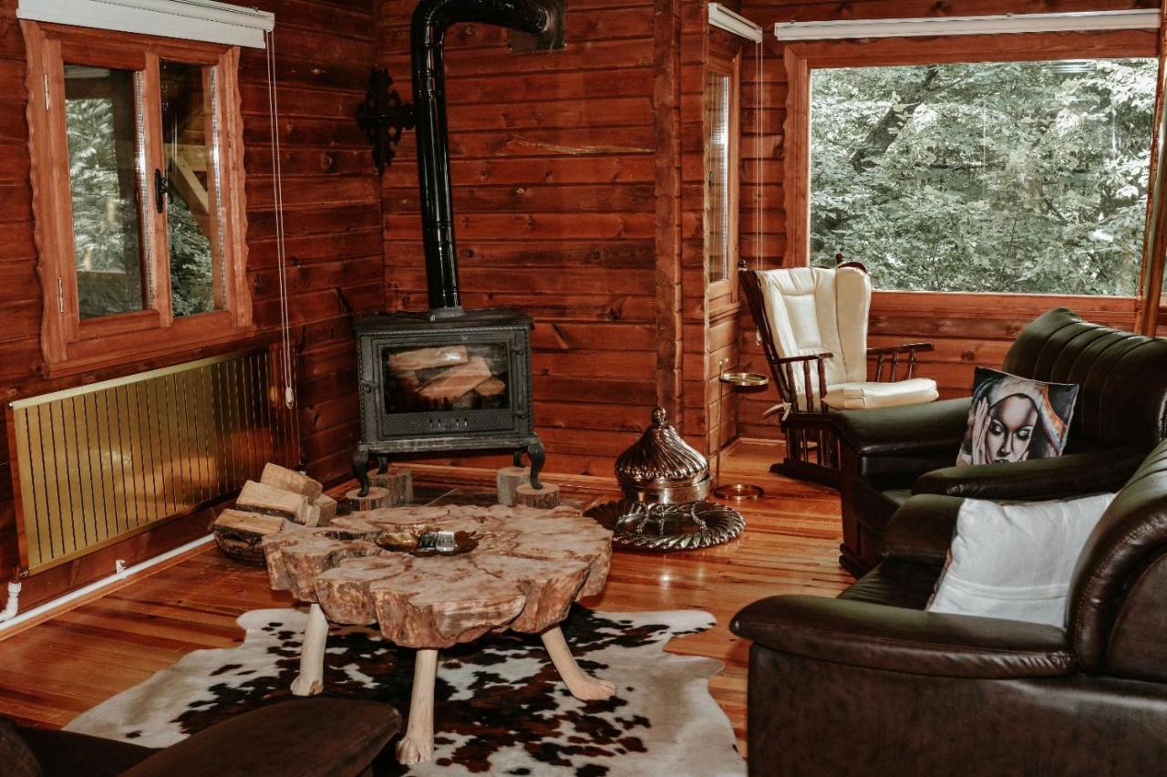 Abant Korudam bungalov butik otel Bagian luar foto