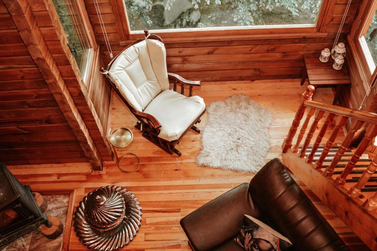 Abant Korudam bungalov butik otel Bagian luar foto