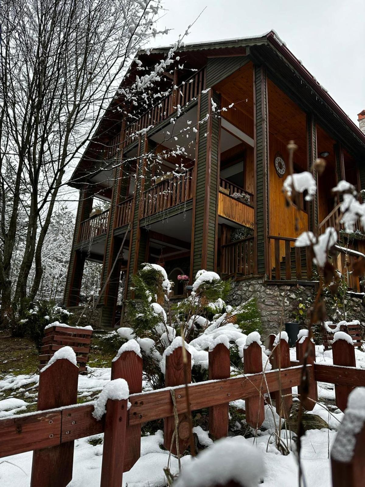 Abant Korudam bungalov butik otel Bagian luar foto